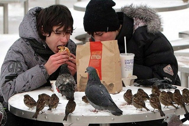 Удивительные и забавные фото с просторов России