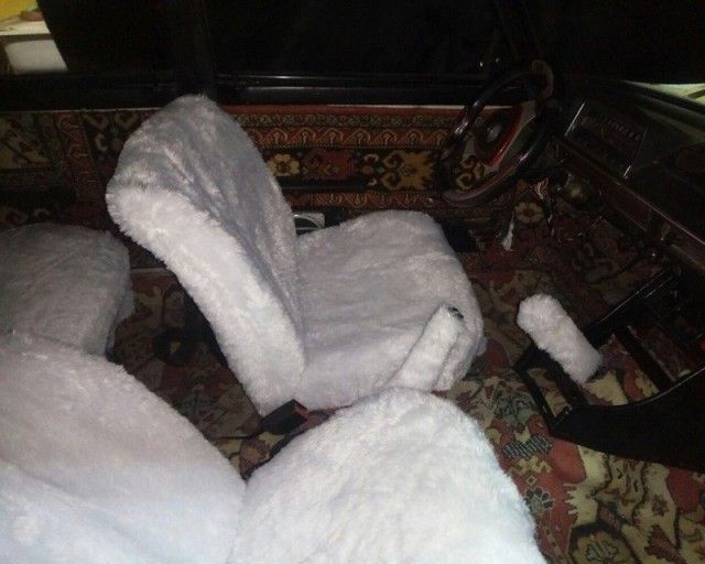 Удивительные и забавные фото с просторов России