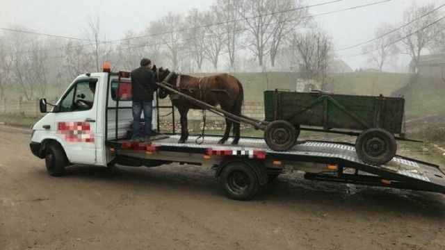 Удивительные и забавные фото с просторов России