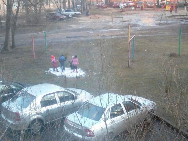 Прикольные картинки