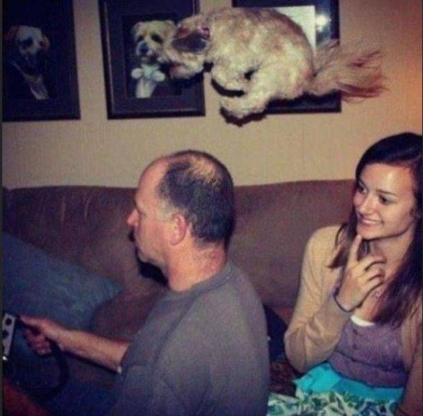 Прикольные картинки