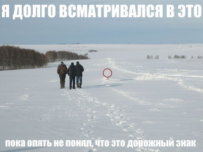 Прикольные картинки