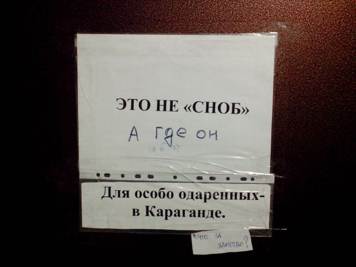 Прикольные картинки