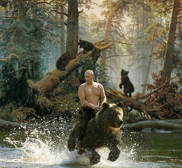 Прикольные картинки