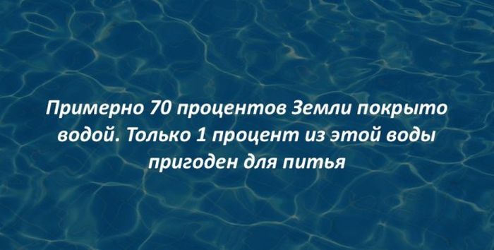 Интересные факты