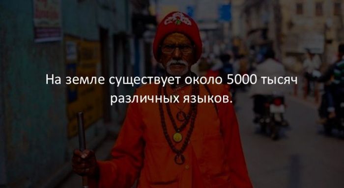 Интересные факты