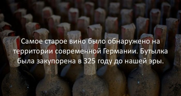 Интересные факты