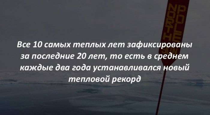 Интересные факты