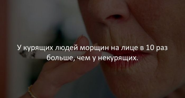 Интересные факты