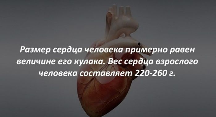 Интересные факты