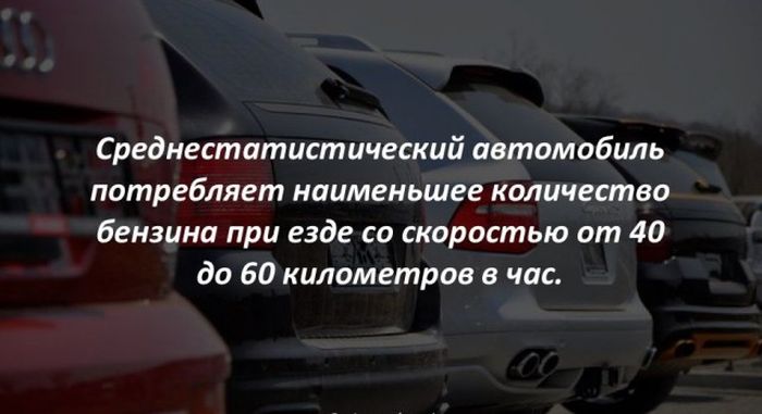 Интересные факты