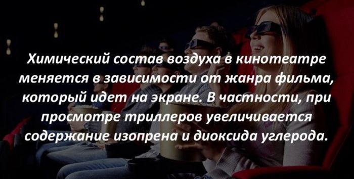Интересные факты