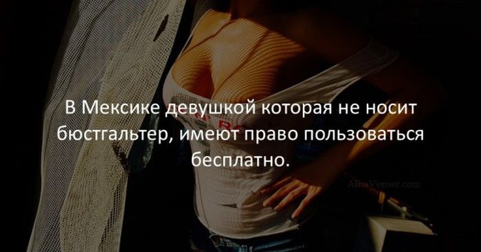 Интересные факты
