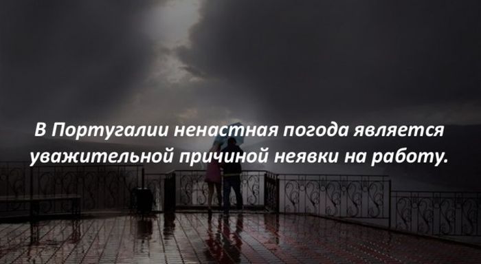 Интересные факты