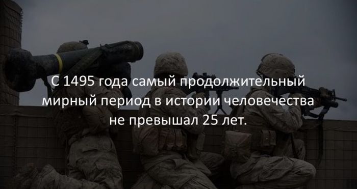 Интересные факты