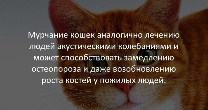 Интересные факты