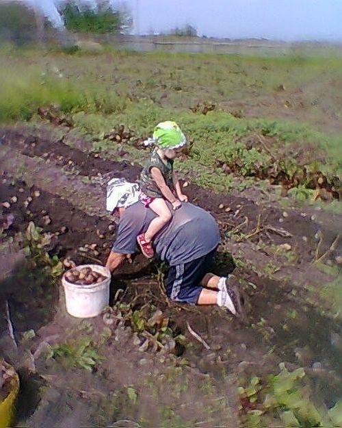 Крутые бабушки