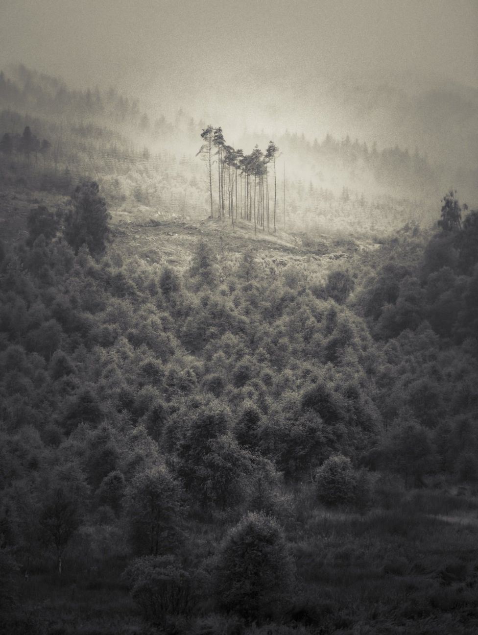 Победители конкурса садово-парковой фотографии Победители конкурса садово-парковой фотографии