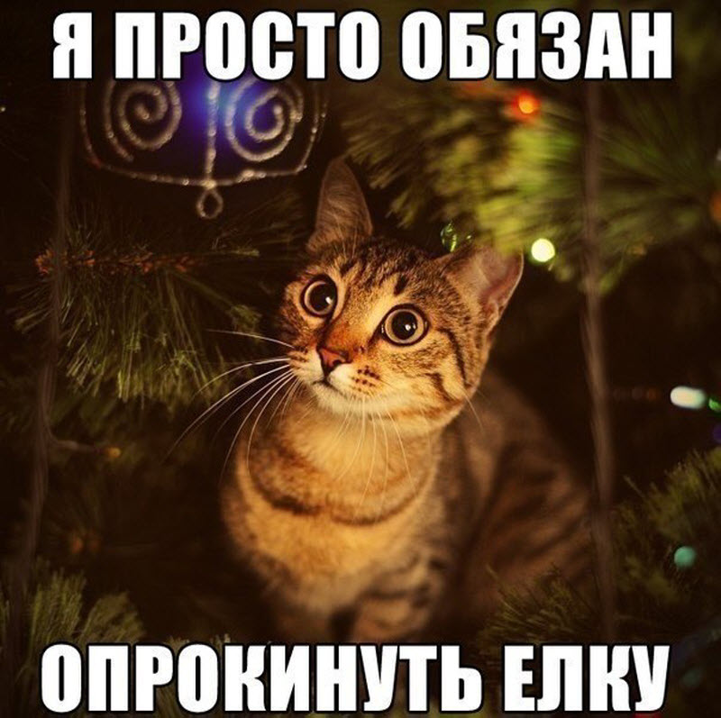 Парочка поучительных историй о самых глупых пьяных ошибках, которые вылетели в нехилую копеечку Парочка поучительных историй о самых глупых пьяных ошибках, которые вылетели в нехилую копеечку