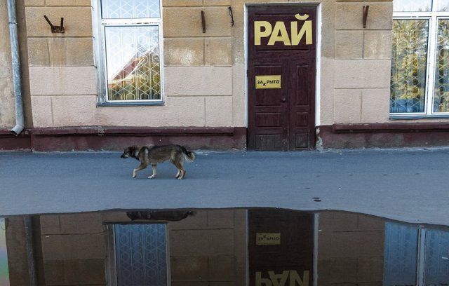 Немного грусти в картинках