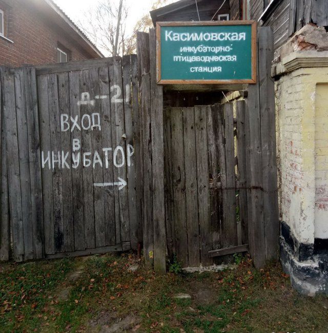 Немного грусти в картинках