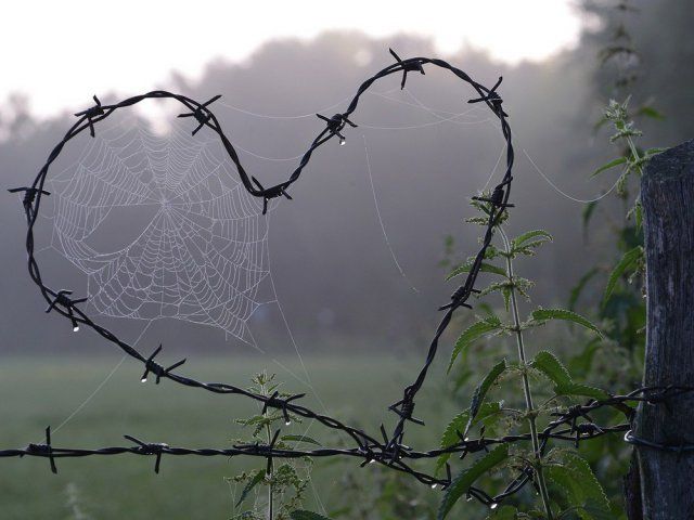Немного грусти в картинках
