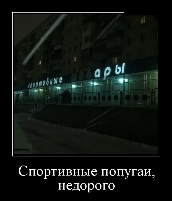 Демотиваторы