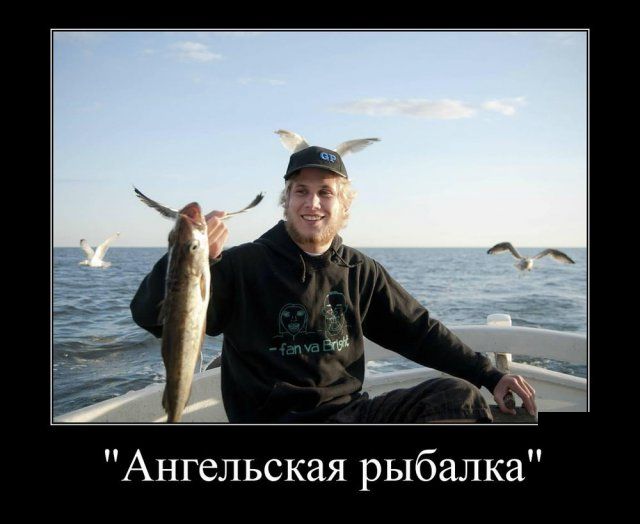 Демотиваторы
