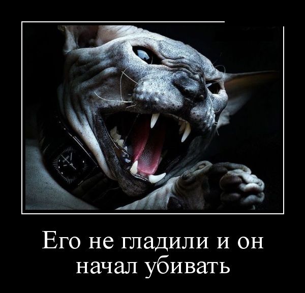 Демотиваторы