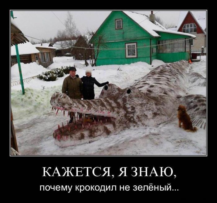 Демотиваторы