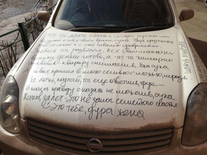 Прикольные картинки