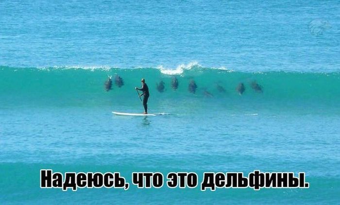 Прикольные картинки (41 фото)