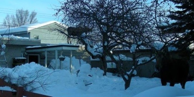 Внезапные гости