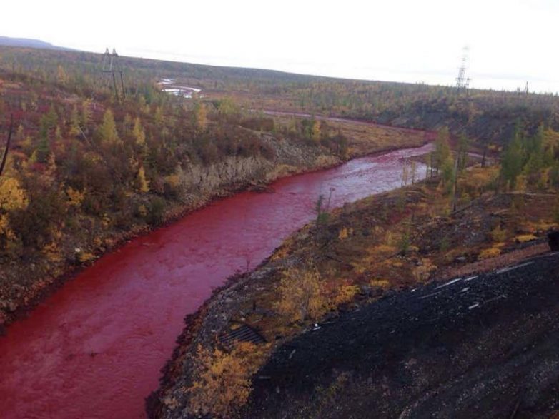 15 удивительных фактов о Сибири
