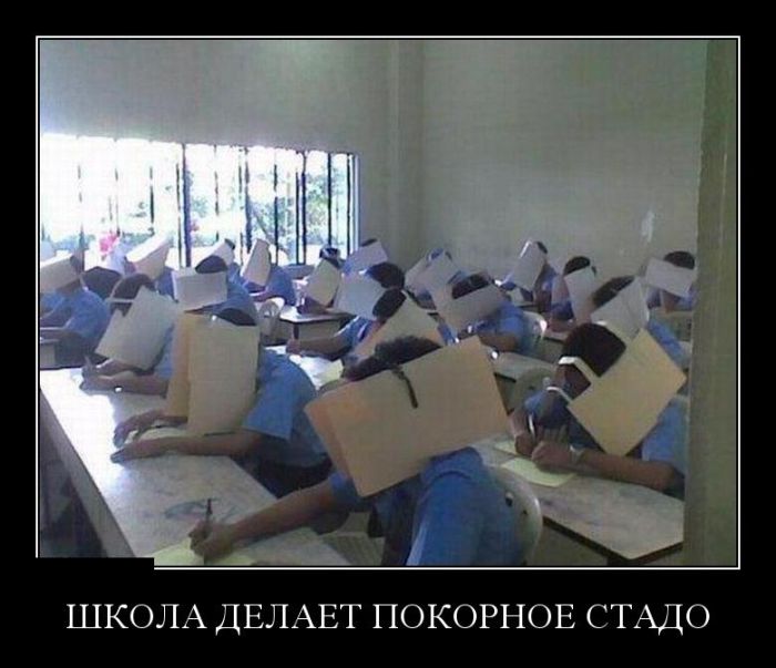 Демотиваторы