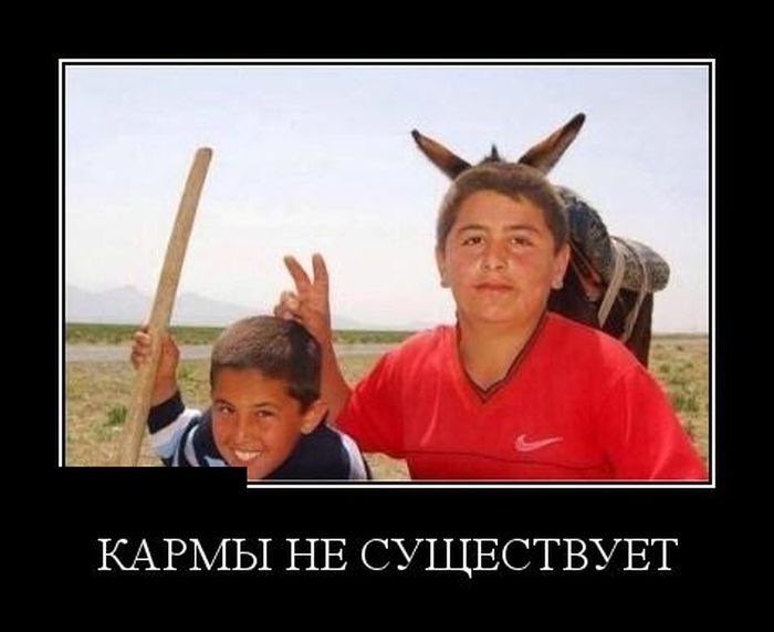 Демотиваторы