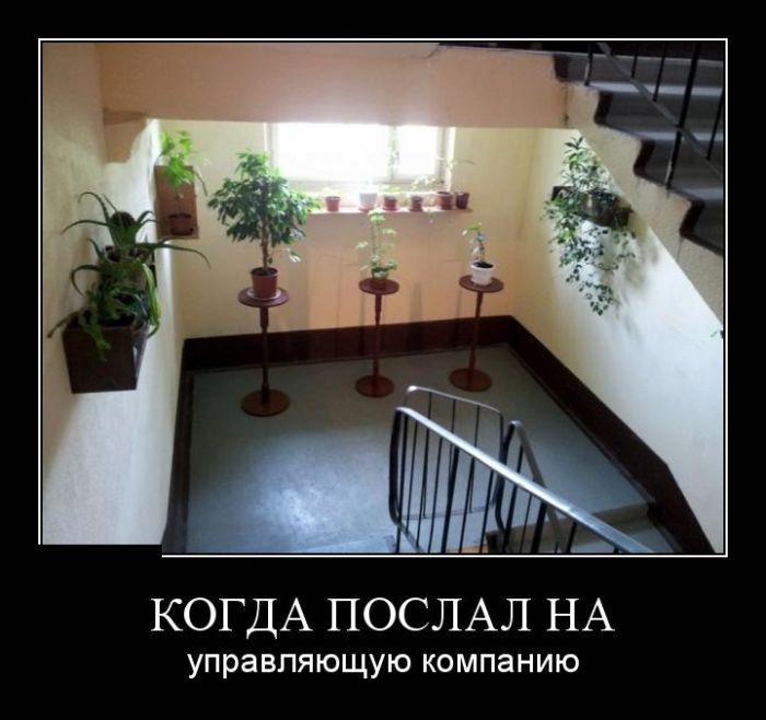 Демотиваторы