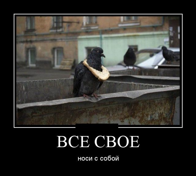 Демотиваторы