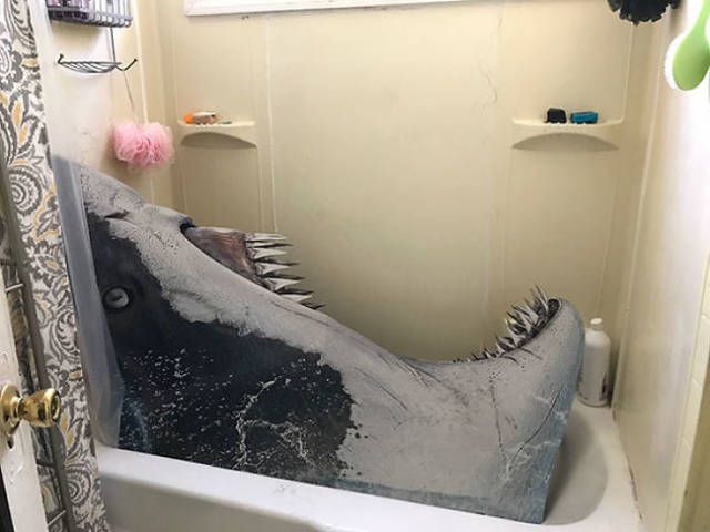 Прикольные картинки