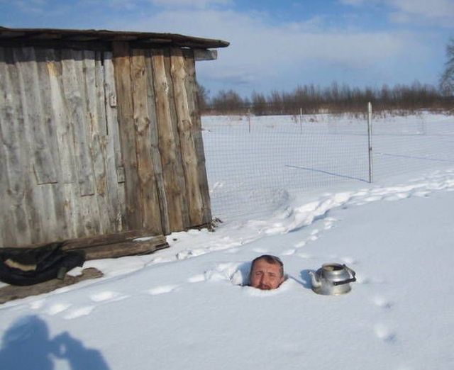Прикольные картинки