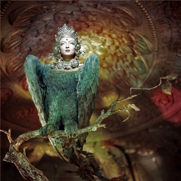 Прикольные картинки