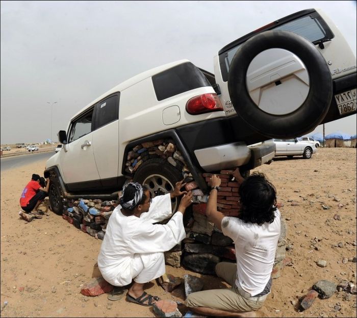 Что у них там происходит? (5 фото)