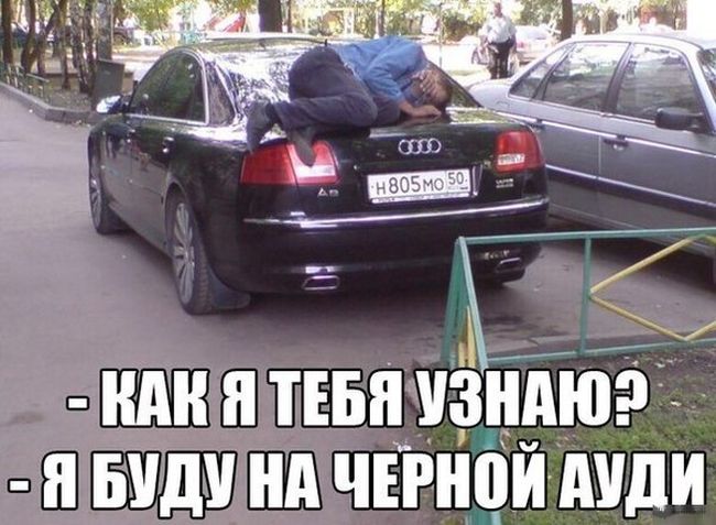 Порция картинок
