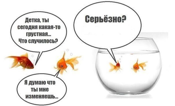Порция картинок