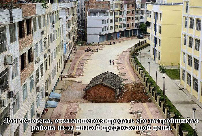 Порция картинок