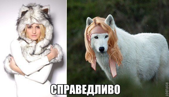 Прикольные картинки (88 фото)