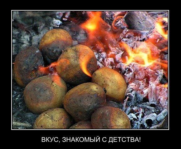 Прикольные картинки (88 фото)