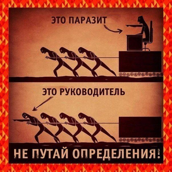 Прикольные картинки (88 фото)