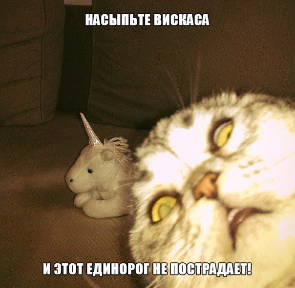 Прикольные картинки (88 фото)