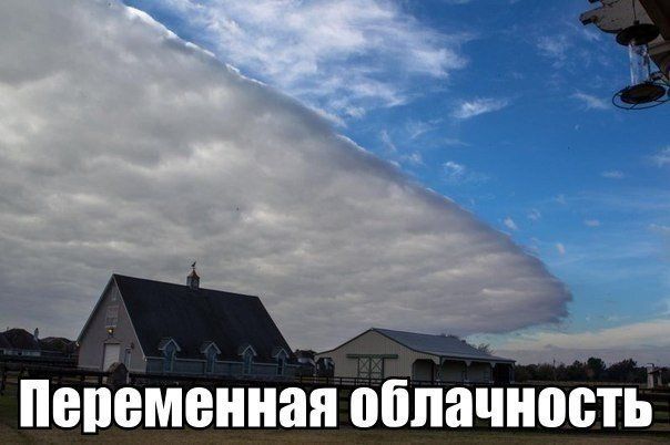 Прикольные картинки (88 фото)
